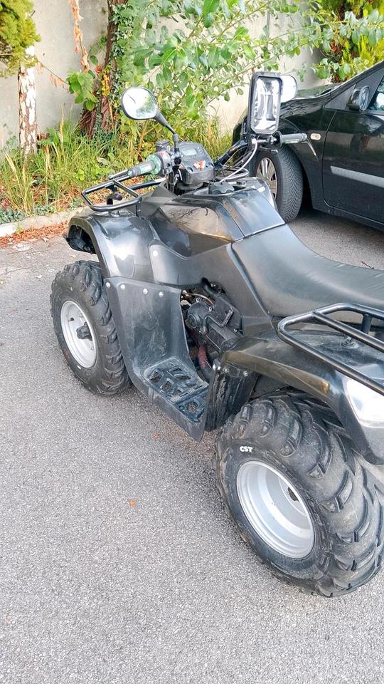 Kymco Gelöscht • kymco Mxu50 2012 — rear view