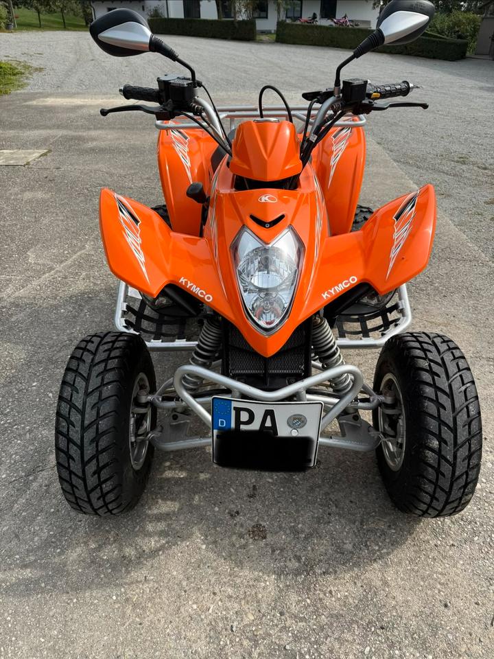 Kymco Quad Kymco Maxxer 300 Malossi Variomatik 2011 — rear view