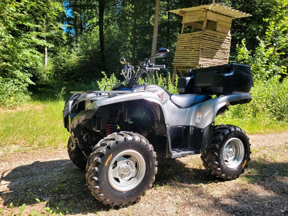 Yamaha Grizzly 700 EPS Special Edition LOF Quad Seilwinde TÜV neu 2011 — rear view