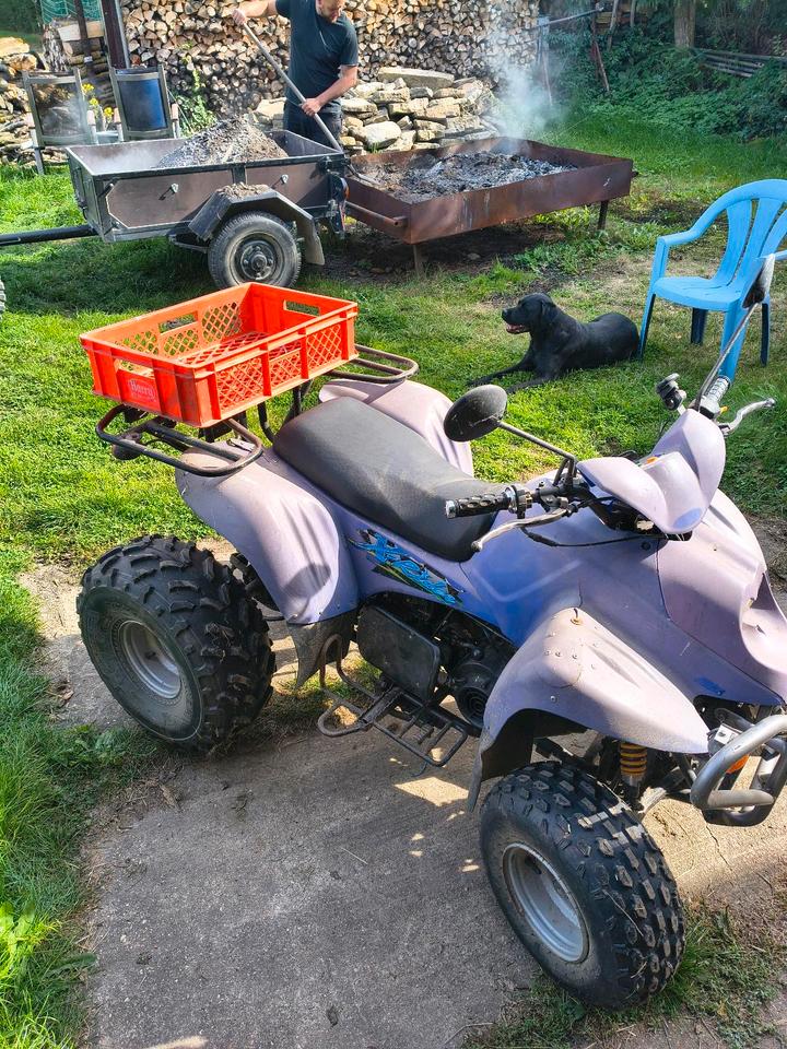  Quad PGO X-Rider 110 Scheunenfund/ Projektabbruch 2006 — photo 10