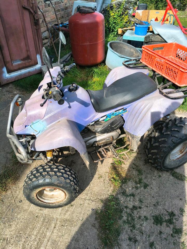  Quad PGO X-Rider 110 Scheunenfund/ Projektabbruch 2006 — photo 11