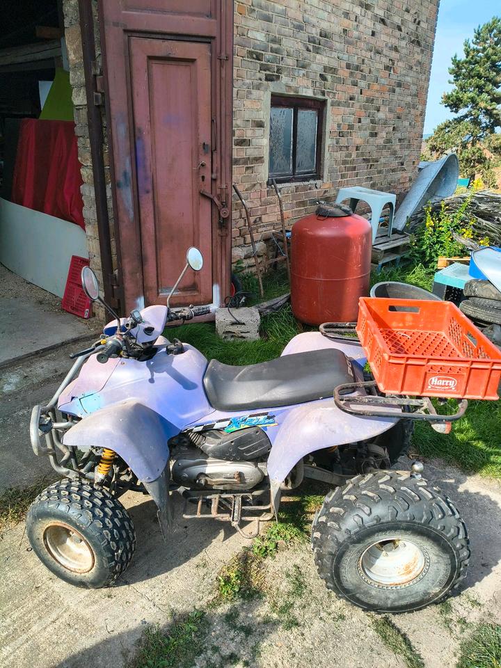  Quad PGO X-Rider 110 Scheunenfund/ Projektabbruch 2006 — photo 12