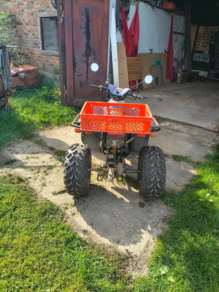  Quad PGO X-Rider 110 Scheunenfund/ Projektabbruch 2006 — photo 13