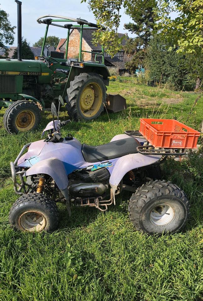  Quad PGO X-Rider 110 Scheunenfund/ Projektabbruch 2006 — rear view