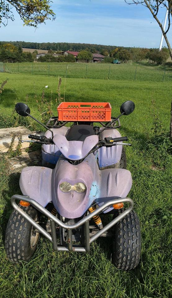  Quad PGO X-Rider 110 Scheunenfund/ Projektabbruch 2006 — photo 7