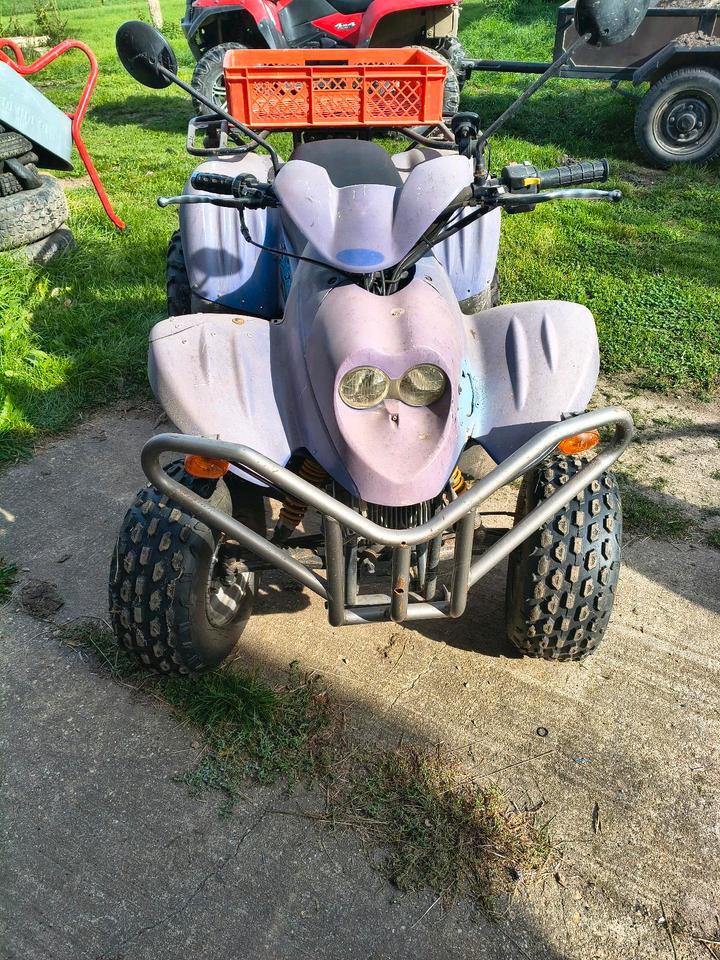  Quad PGO X-Rider 110 Scheunenfund/ Projektabbruch 2006 — photo 8