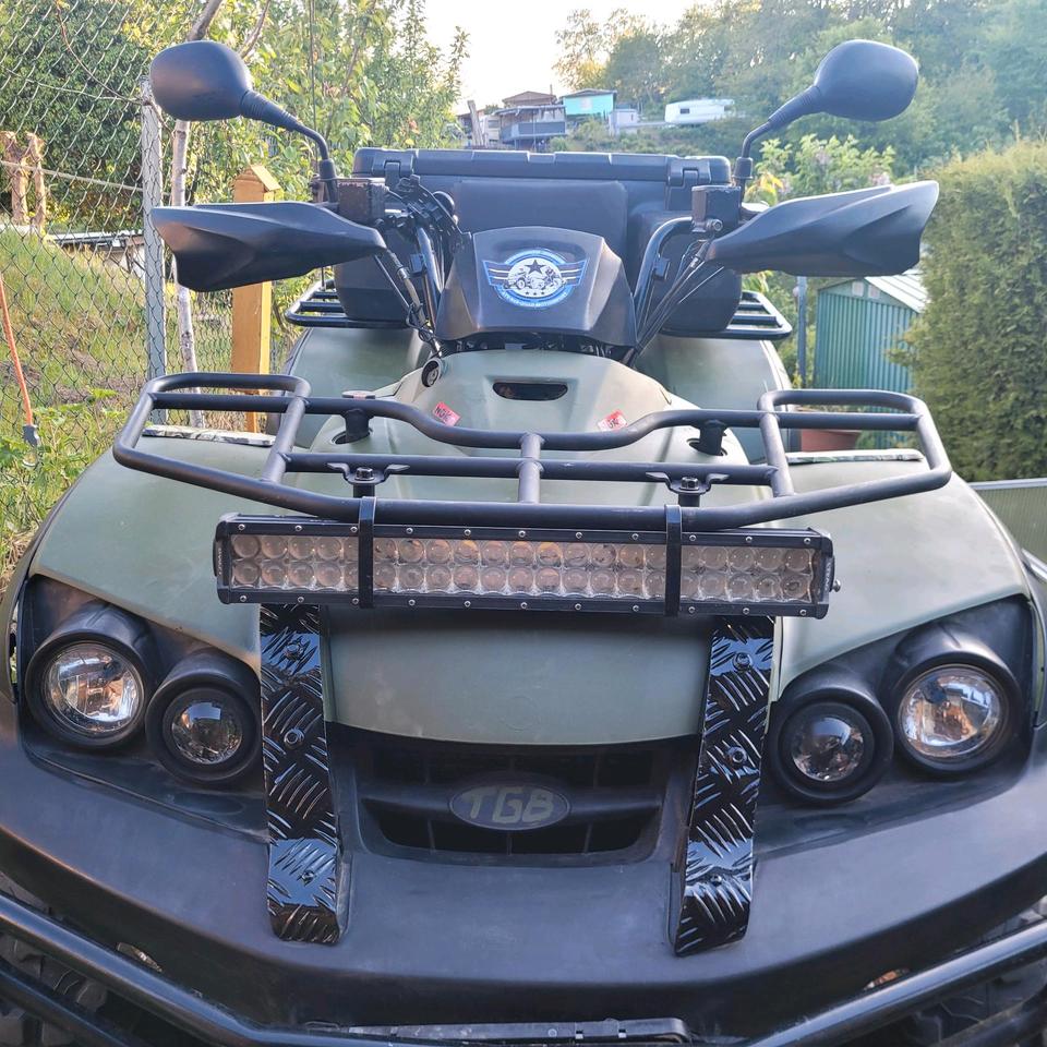 Weitere Motorräder TGB Blade 425 2009 — rear view