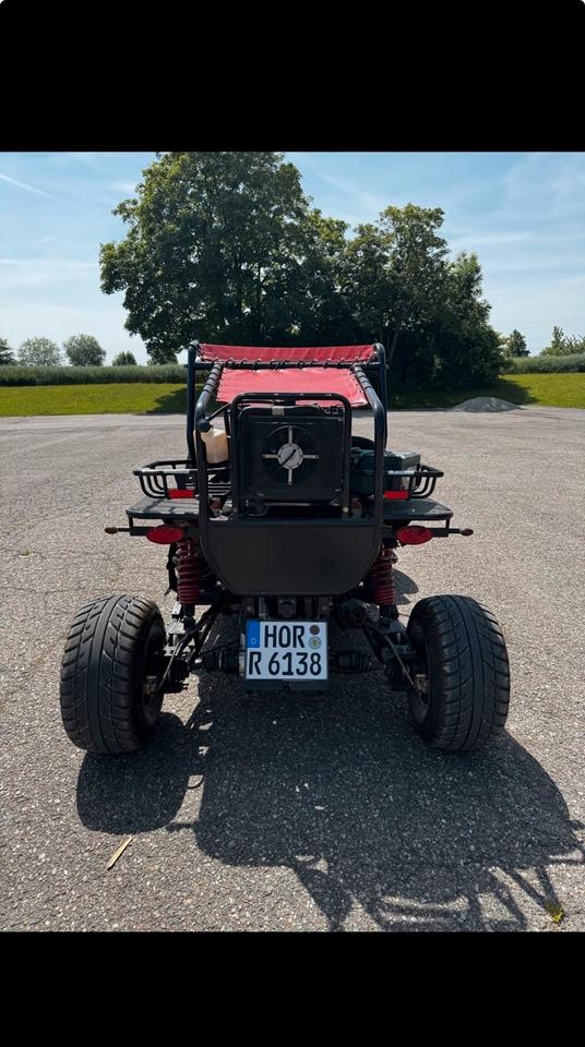  Buggy Quad GS MOON 2007 — engine 257 ccm