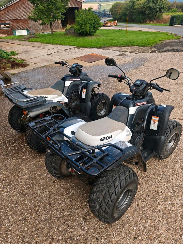  Quad Aeon Cobra 180 + Teileträger 2006 — photo 11