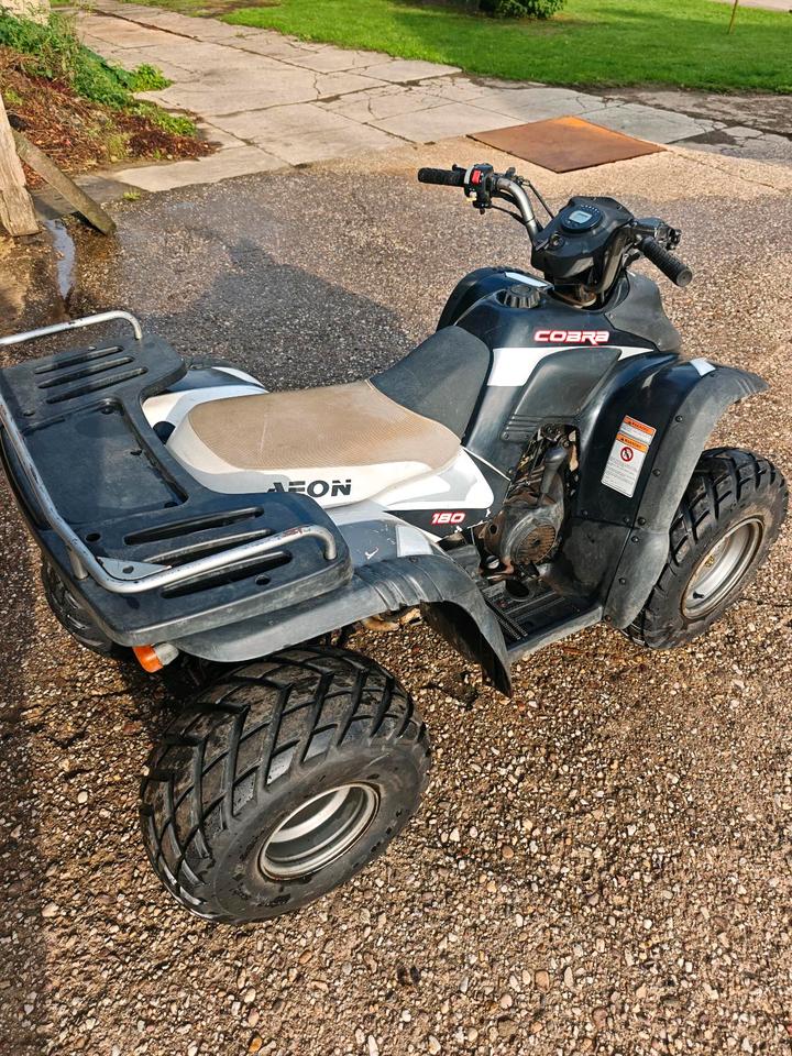  Quad Aeon Cobra 180 + Teileträger 2006 — photo 8