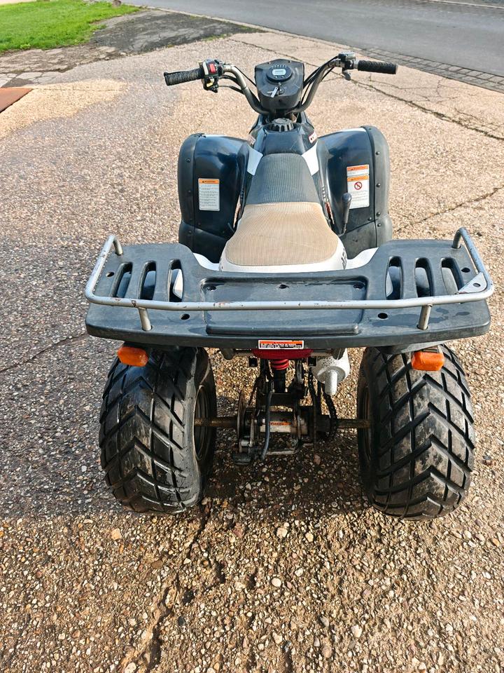  Quad Aeon Cobra 180 + Teileträger 2006 — photo 9