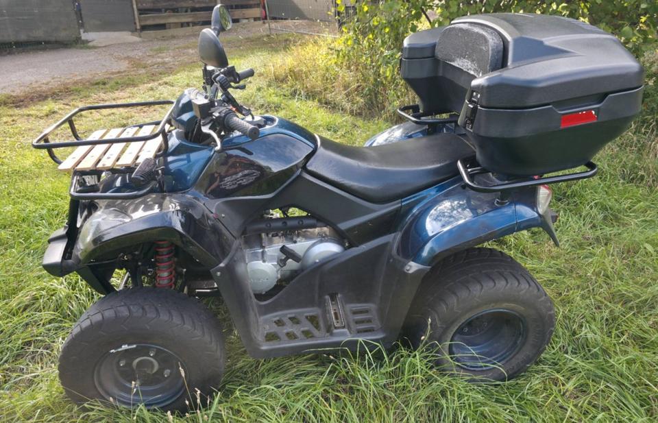 Kymco Gelöscht • Kymco MXU 250 Quad 2005 — interior