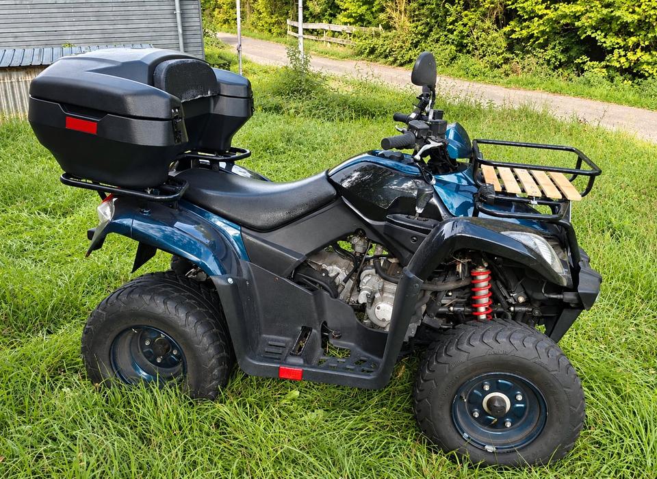 Kymco Gelöscht • Kymco MXU 250 Quad 2005 — engine