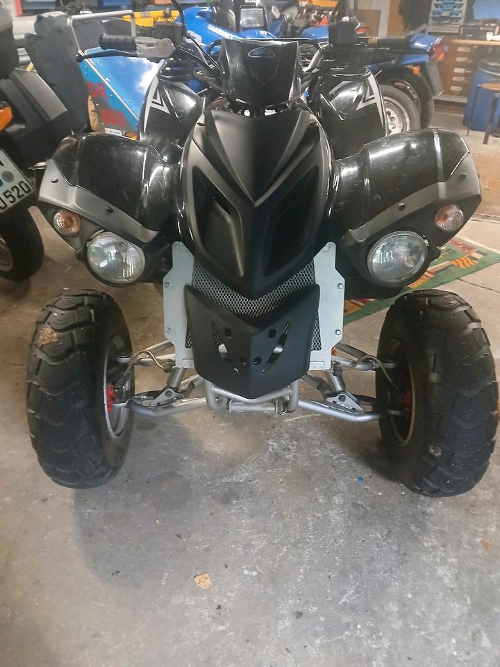 Weitere Motorräder Gelöscht • Hercules Quad Automatic mit Rückwärtsgang Heute Winterpreis 2006 — vehicle for AFU Ukraine