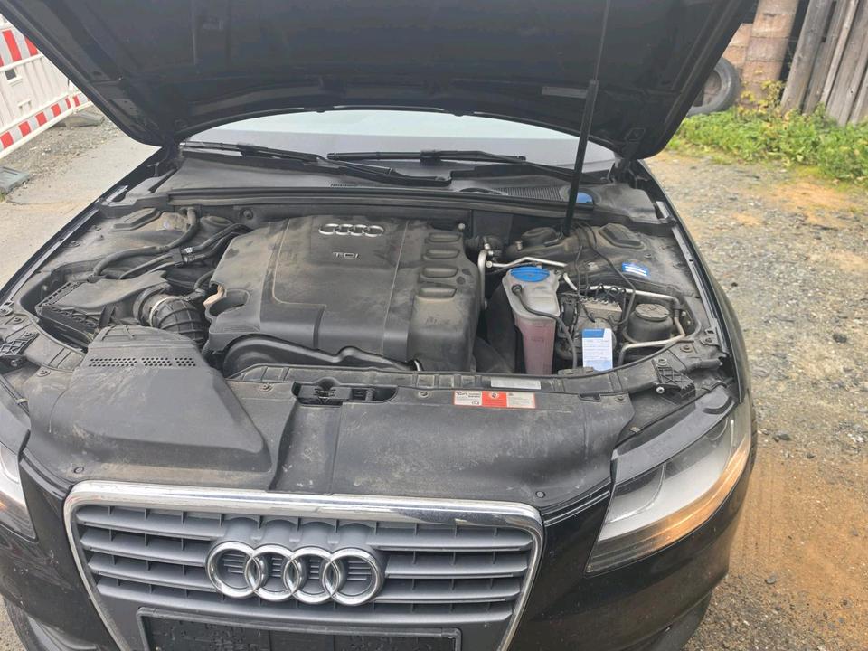 Audi A4 2010 — photo 7