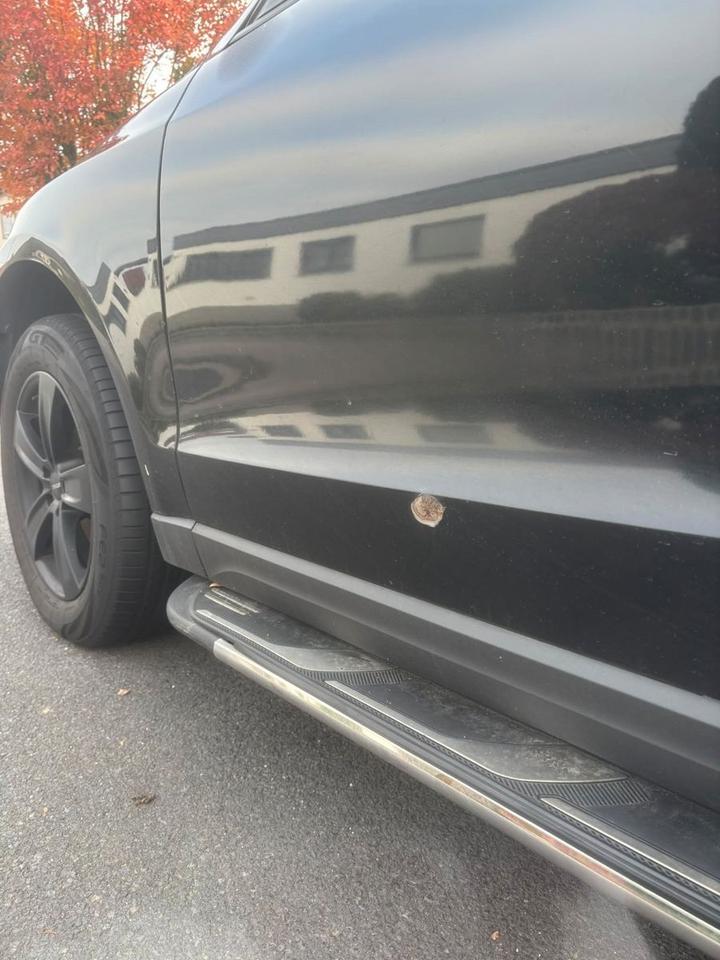 Audi Q5 2010 — photo 13