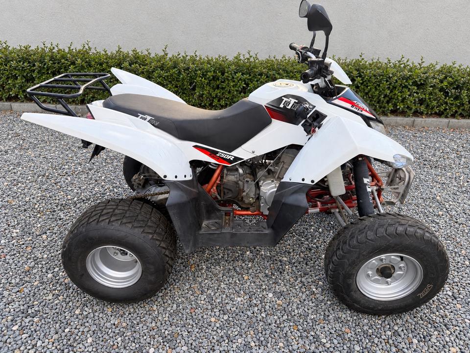 Weitere Motorräder Triton Baja Acces 250R – Automatik – Weiß 2010 — rear view