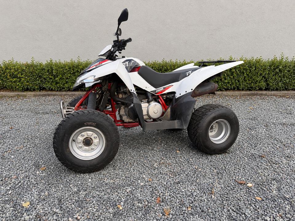 Weitere Motorräder Triton Baja Acces 250R – Automatik – Weiß 2010 — photo 5