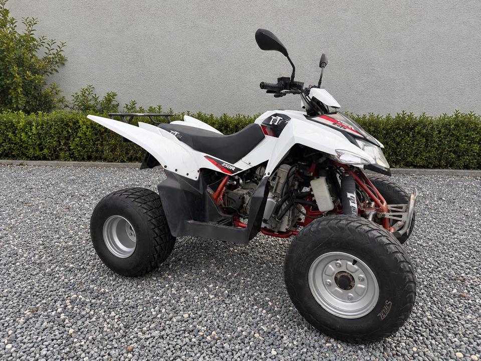 Weitere Motorräder Triton Baja Acces 250R – Automatik – Weiß 2010 — photo 7