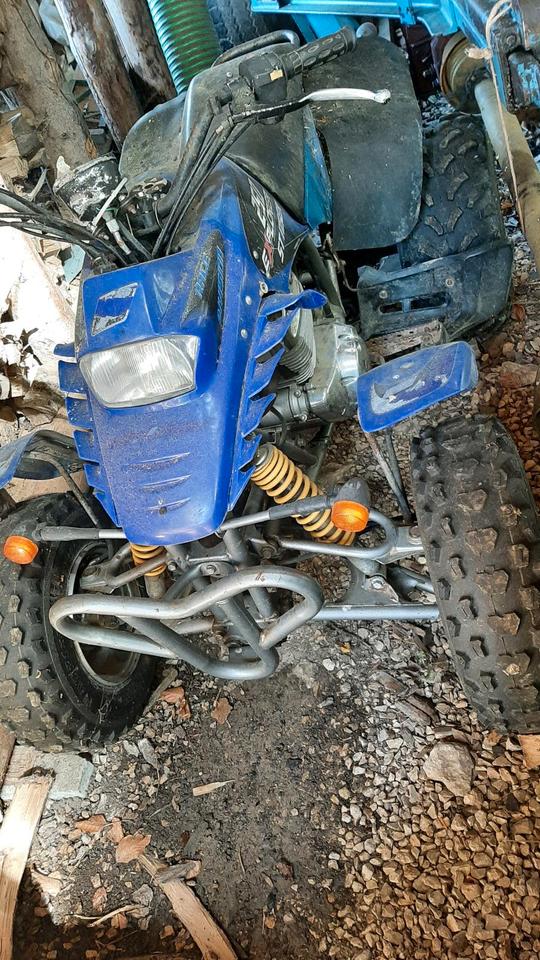 Weitere Motorräder Quad stinger explorer 250, 2004