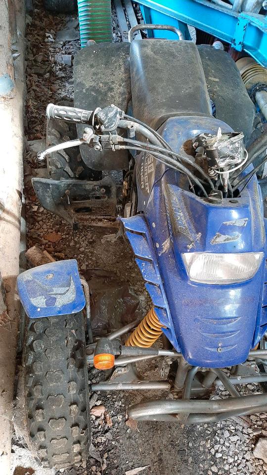 Weitere Motorräder Quad stinger explorer 250 2004 — photo 11