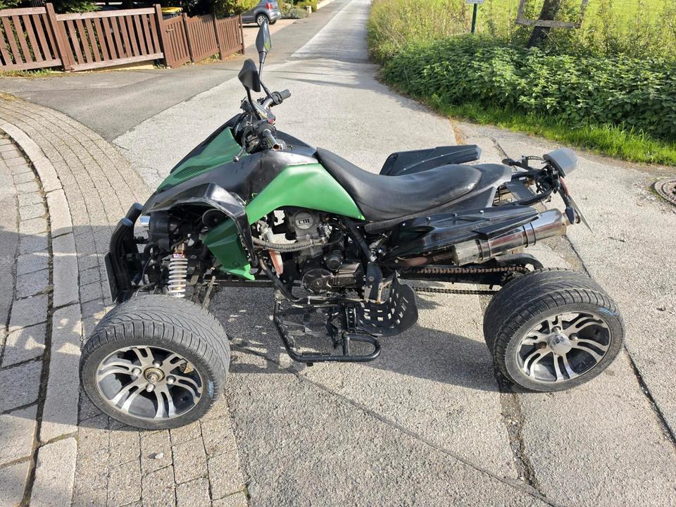  Quad Jingling 250cc 2010 — rear view