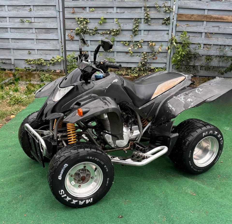  Gelöscht • SMC RAM Quad ( ) | 8.390 km | Bastler(Fest Preis) 2005 — rear view