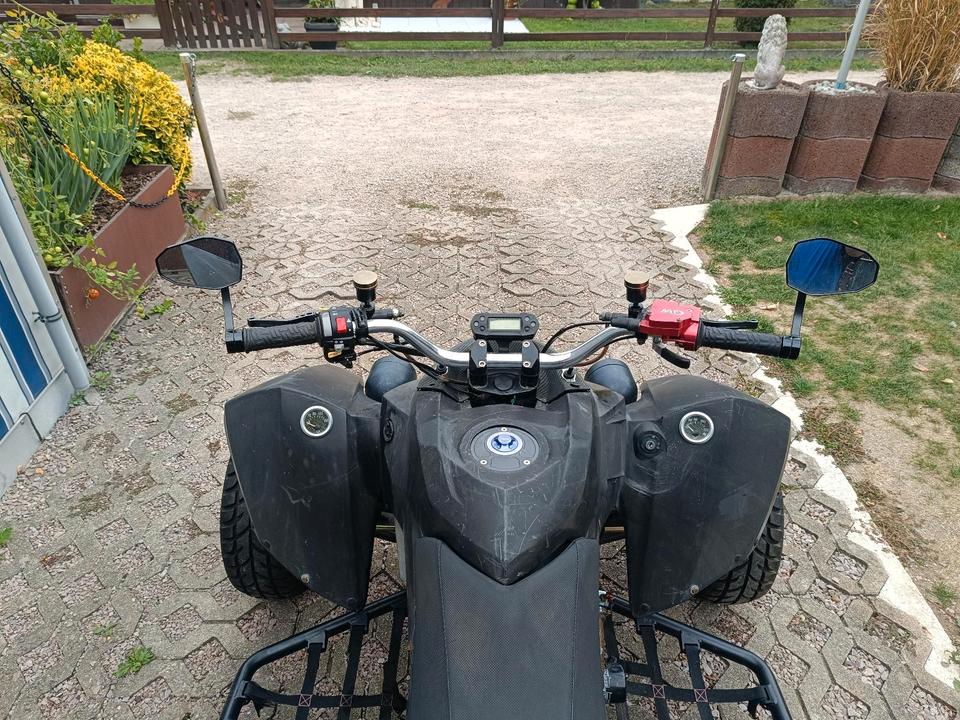Weitere Motorräder Gelöscht • Triton Access 450 SM LOF 2011 — вигляд ззаду