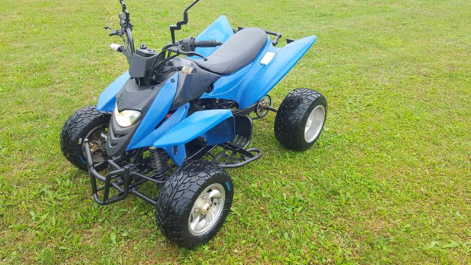  Shineray STXE Quad 250ccm fahrbereit mit TÜV 2008 — rear view