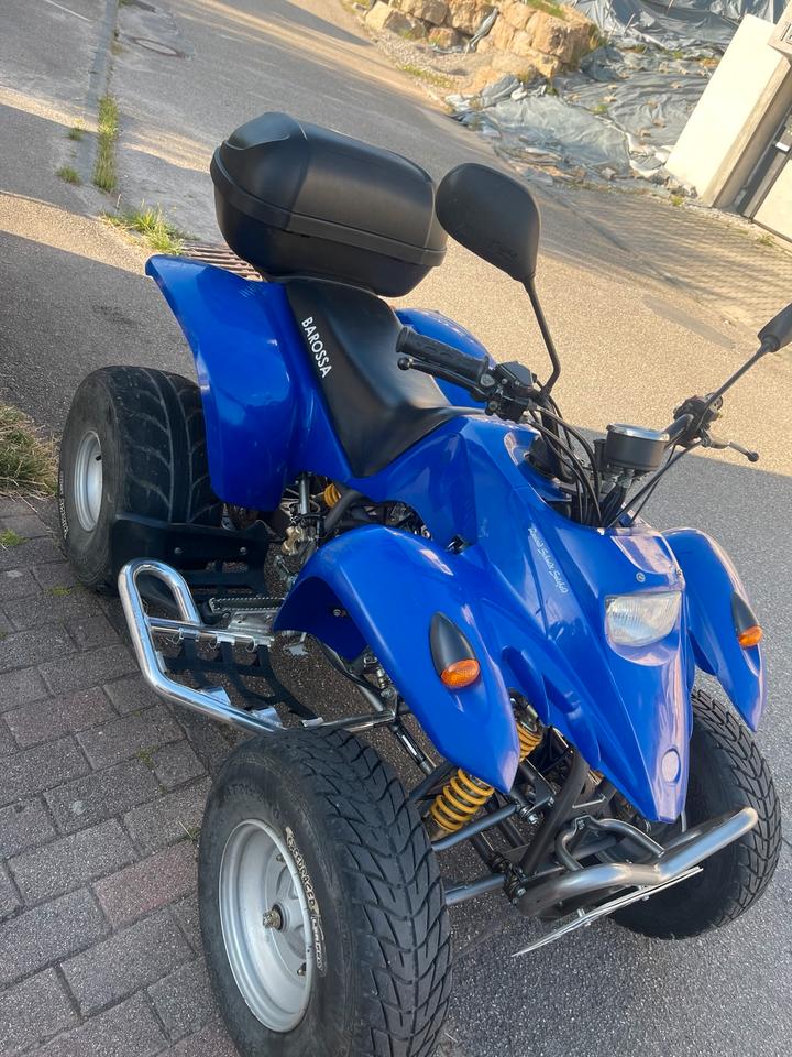 Weitere Motorräder Gelöscht • Quad Barossa 2004 — авто для ЗСУ з Європи