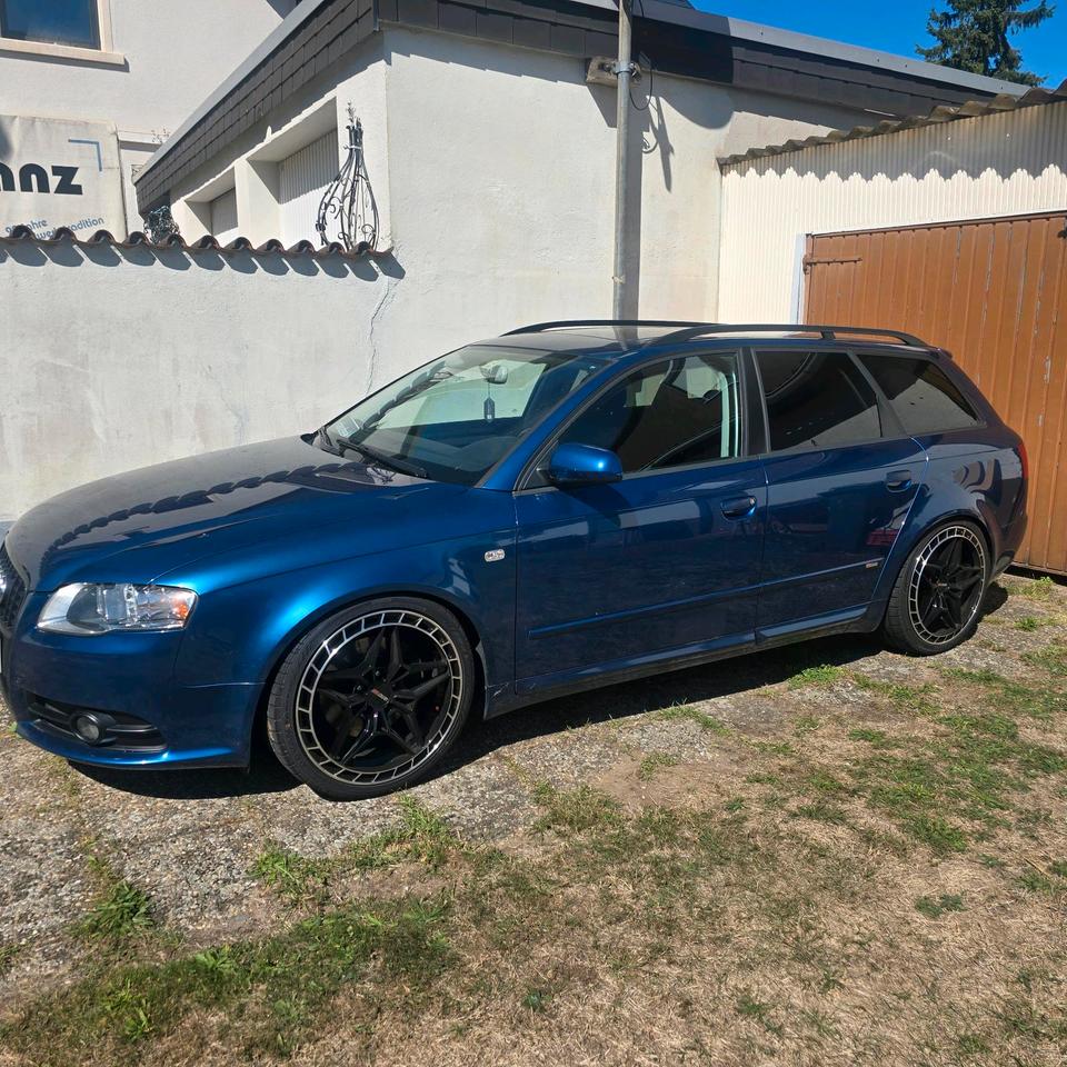 Audi A4 2006 — вигляд ззаду