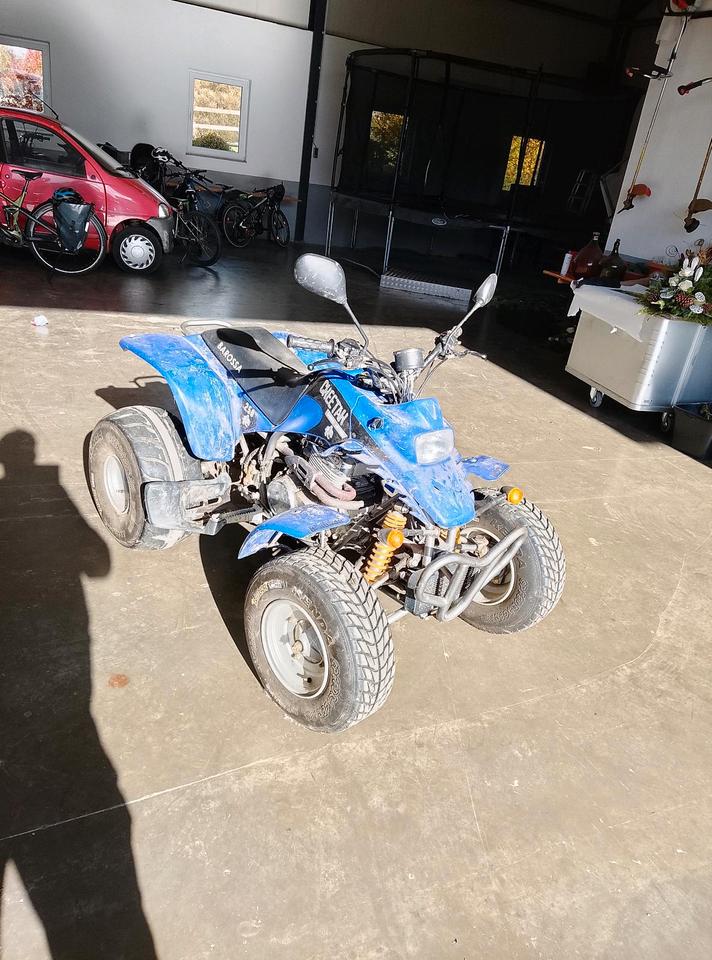 Barossa Quad 250ccm 2007 — авто для ЗСУ з Європи
