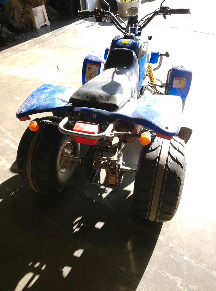  Barossa Quad 250ccm 2007 — салон