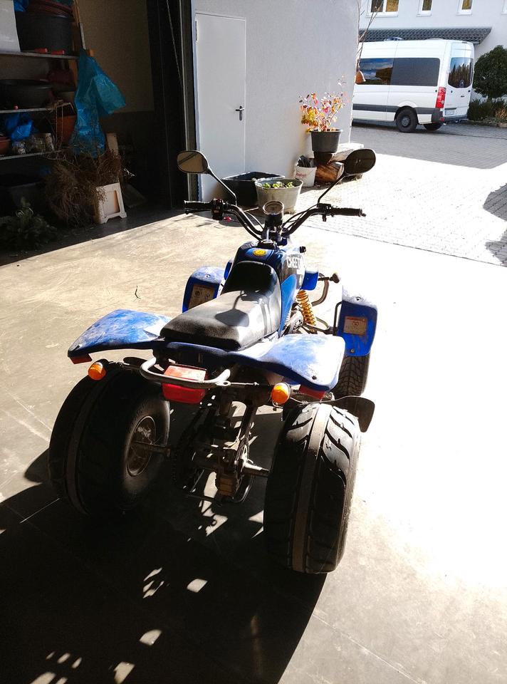  Barossa Quad 250ccm 2007 — двигун 250 ccm