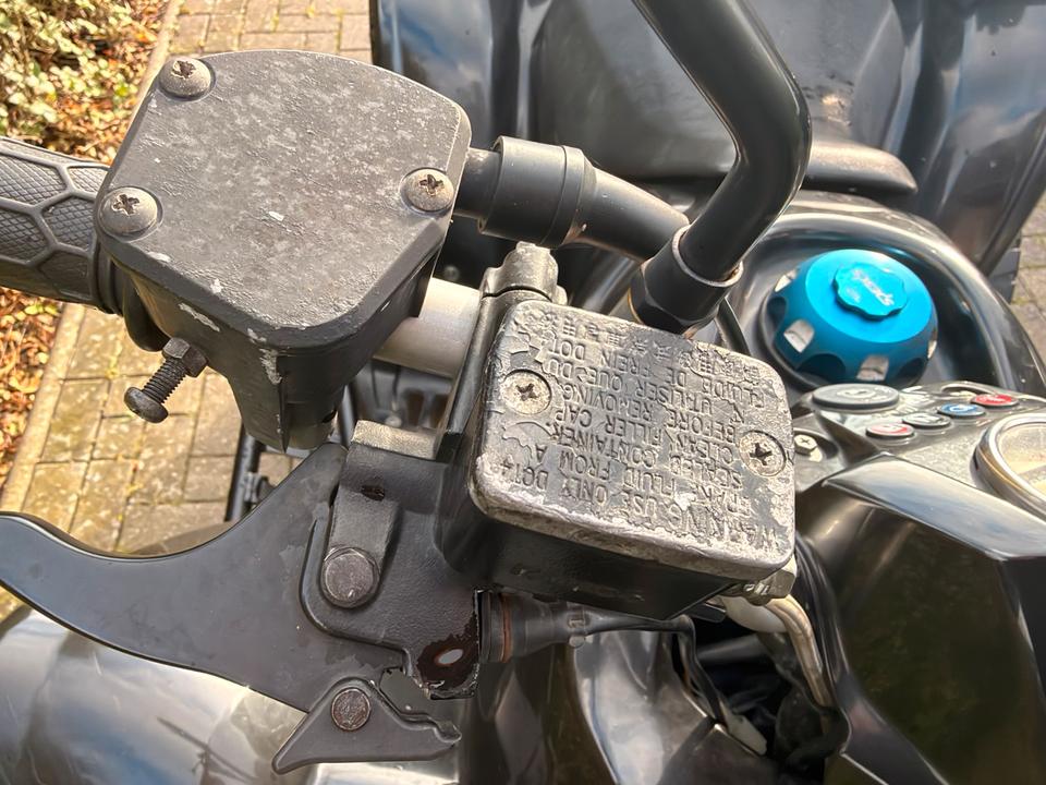 Kymco Maxxer 250 ccm KXR – TÜV 06/2028 – ca. 10.900 km 2009 — фото 16