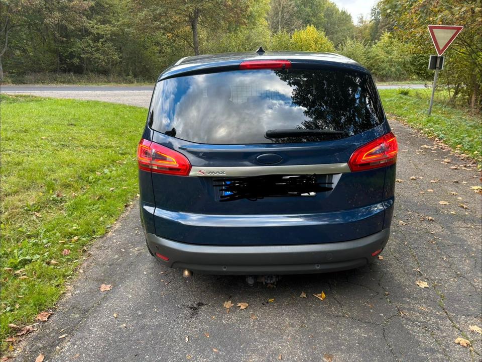 Ford S-Max 2010 — engine