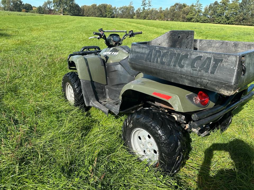 Gelöscht • Arctic cat 700 Diesel 2 Zylinder 4x4 Arbeitstier ATV 2011 — photo 6