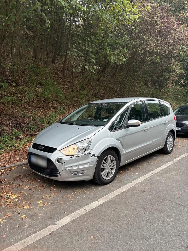 Ford S-Max 2011 — вигляд ззаду