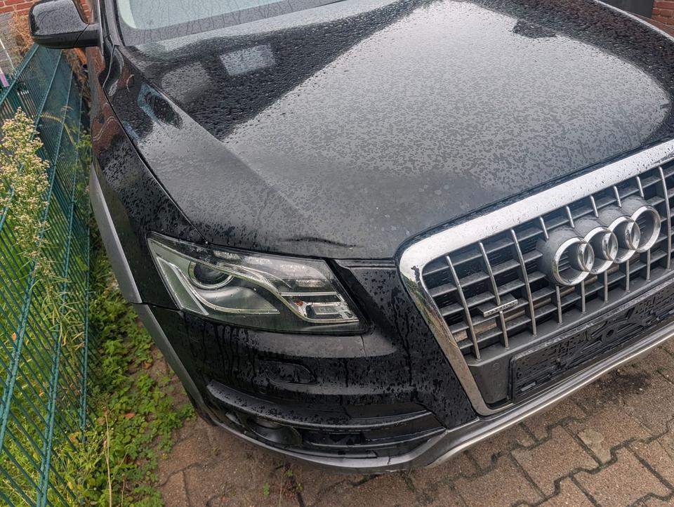 Audi Q5 2010 — вигляд ззаду