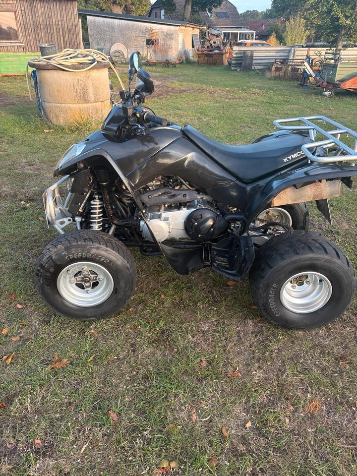 Kymco Maxxer 250 Quad 2008 — rear view