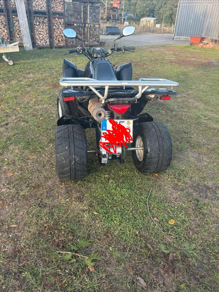 Kymco Maxxer 250 Quad 2008 — interior