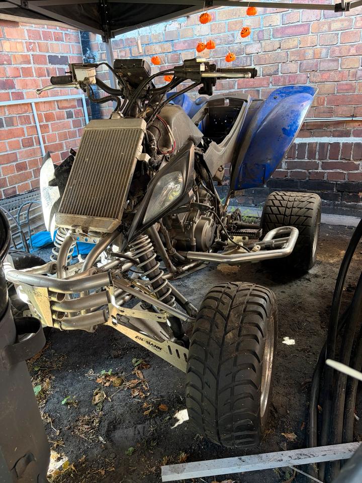 Yamaha Gelöscht • Yamaha Raptor Quad 2005 — rear view
