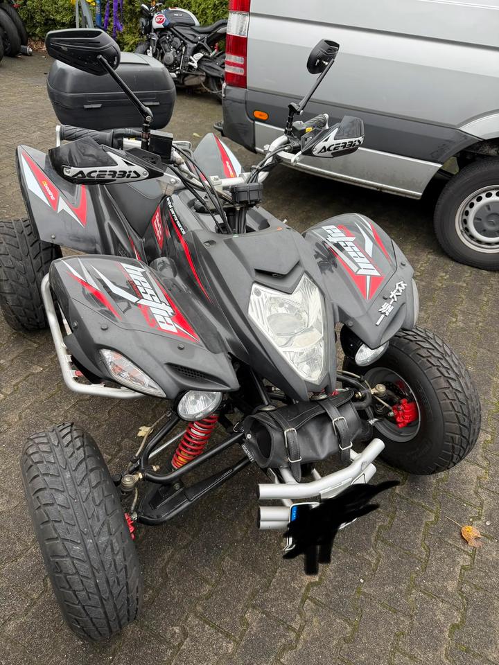 Quad Her Chee Beeline 500*Adly*Subaru Motor*top* nur 3950km*Tüv 27*LOF 2012 — авто для ЗСУ з Європи