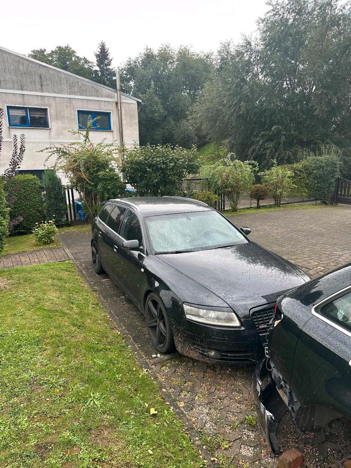 Audi A6 2007 — rear view