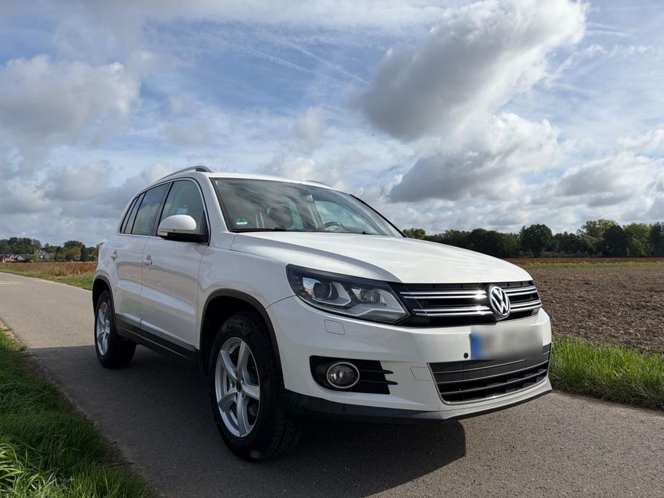 Volkswagen Tiguan 2011 — rear view