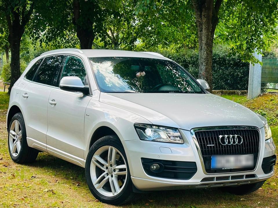 Audi Q5 2009 — вигляд ззаду