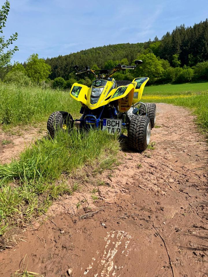 Suzuki LTZ 400 | 434 CCM BIG BORE | LOF | VBW | CRD SSS uvm 2007 — rear view