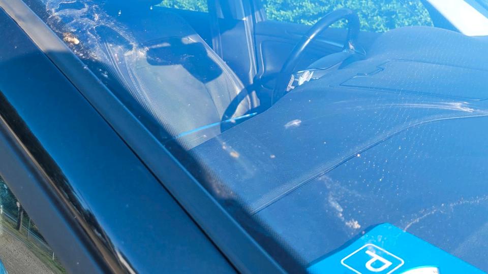 Ford S-Max 2010 — photo 6