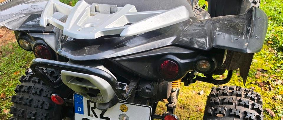 Weitere Motorräder TGB Target 525 2009 — rear view
