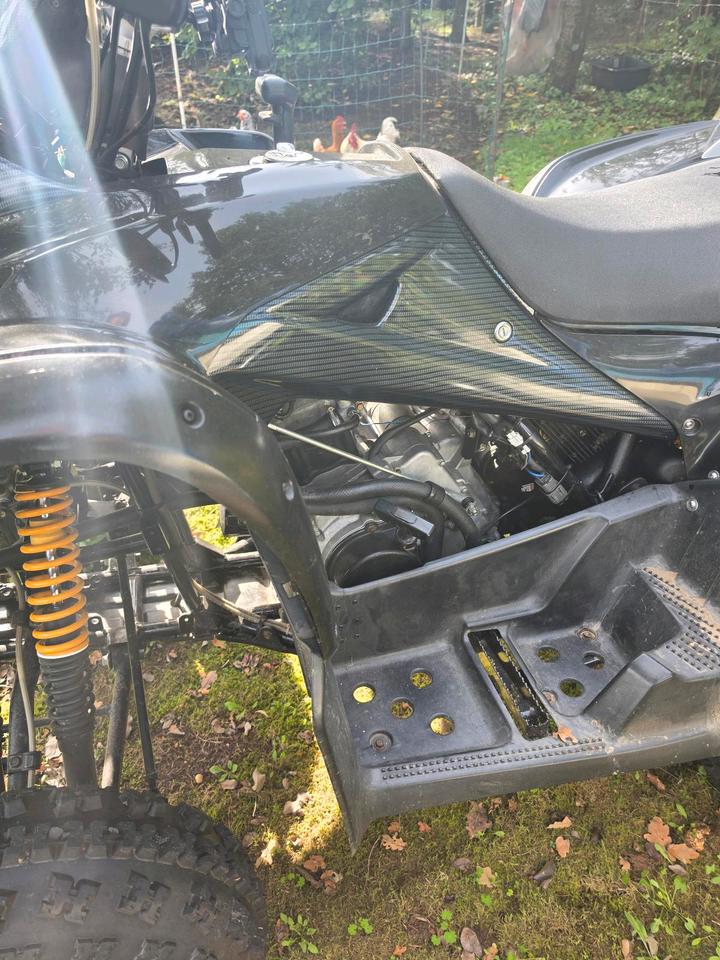 Weitere Motorräder TGB Target 525 2009 — engine 525 ccm